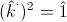(\hat{k}^`)^2=\hat{1}