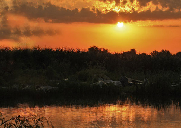 Delta Dunarii - răsărit de Soare