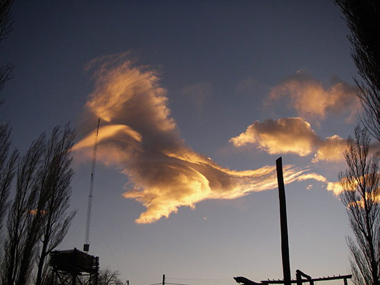 Nori în formă de dinozaur