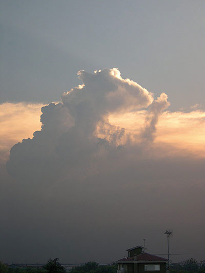 Nori în formă de şobolan