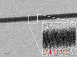 ADN, microscop electronic