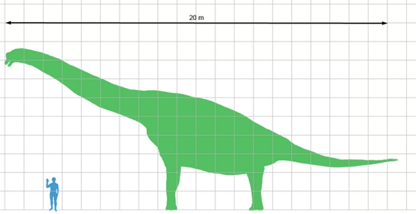Comparaţie om brahiosaur