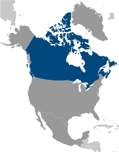Canada poziţie geografică
