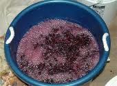 Fermentatie