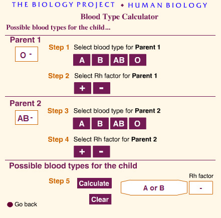 hiking neighbor Jabeth Wilson Cum să determini grupa sanguină a copilului tău - 20 Iulie 2018 - Cercetări  Biologice - gheorghe julea