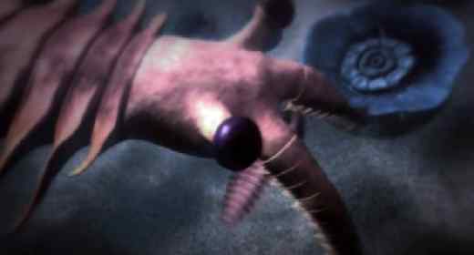 Pradator marin din cambrian