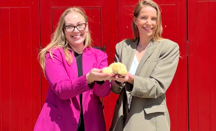 Ciuperci în spațiu