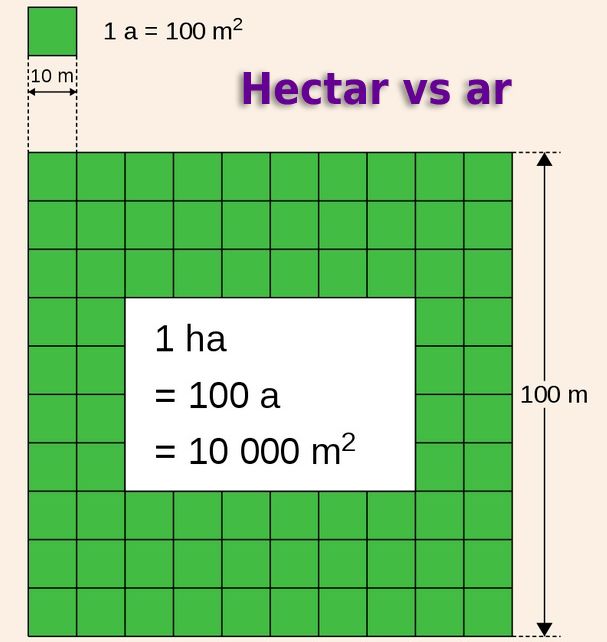 Câți metri pătrați are un hectar / pogon / ar?