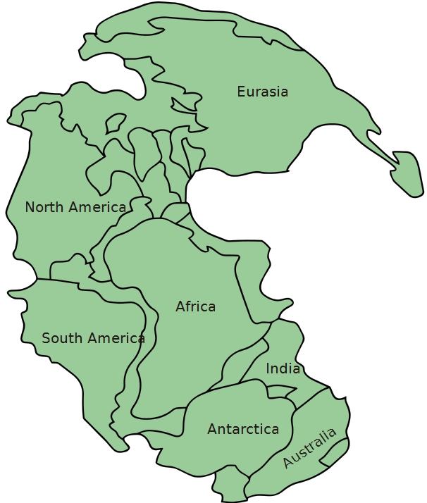 Pangeea continente