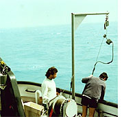 Apă cu cocolitofore Apă cu cocolitofore