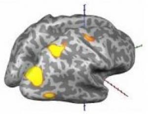 Creier. Reactie la obiecte de valoare