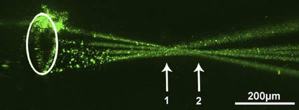 Experimentul cu laser Experimentul cu laser