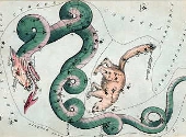 Draco cu Ursa Mica, cf. unui atlas din 1825, Londra