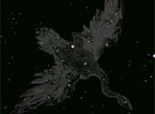 Constelaţia Cygnus