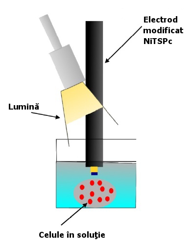 Comunicatie hibrid bio-robot Comunicatie hibrid bio-robot