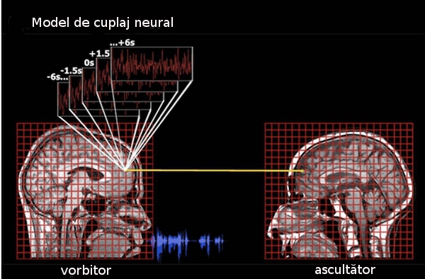 Relatia povestitor ascultator Relatia povestitor ascultator