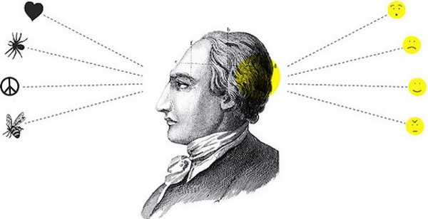 Grafic rol cortex insular Grafic rol cortex insular