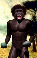 Homo erectus