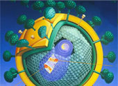HIV