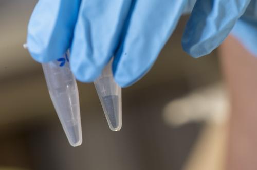 Baterii Litiu-ion cu siliciu