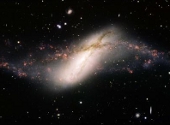 Galaxie inel polar NGC 660