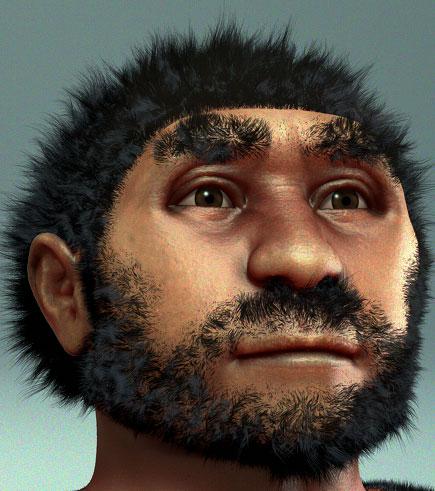 Homo_erectus_pekinensis