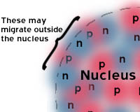 nucleul cuantic