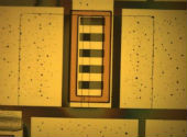 Circuit silicon