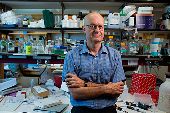 Leonard Guarente Leonard Guarente