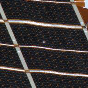 Gaura de aproape Gaura de aproape