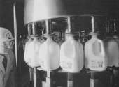 Pasteurizarea laptelui