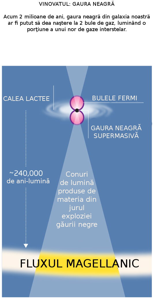 Gaura neagra. Diagrama articol Gaura neagra. Diagrama articol