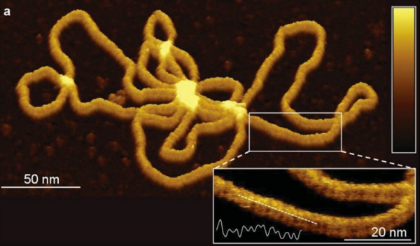 Imagine sus Imagine sus