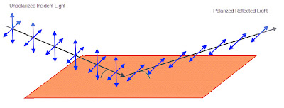 polarizare polarizare