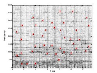 grafic shazam grafic shazam