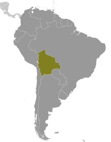Bolivia pozitie localizare geografica