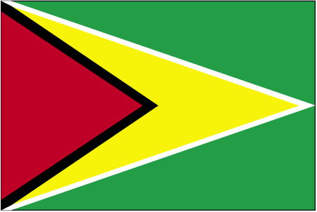 Guyana drapel steag