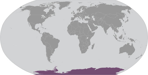 Antarctica - poziţie geografică