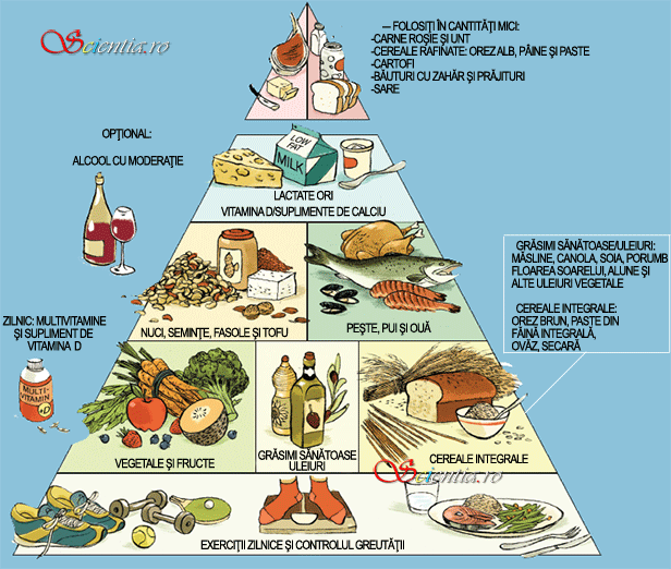 piramida alimentară antirid și îmbătrânire