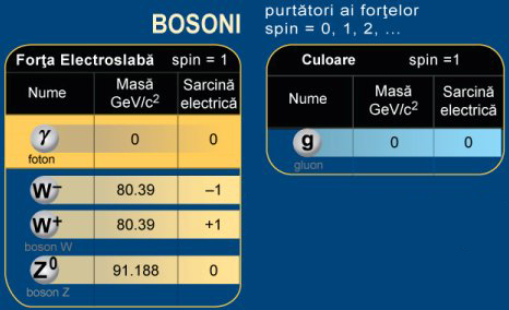 bosonii in cadrul modelului standard