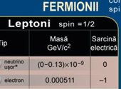 fermionii