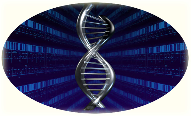 Structura ADN. Reprezentare artistica