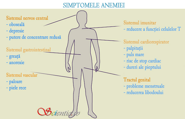 Simptomele anemiei