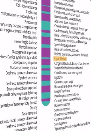 Gena fibrozei cistice