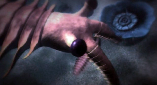 Pradator marin din cambrian