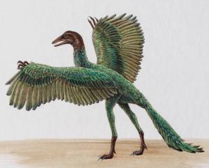 Archaeopteryx Archaeopteryx