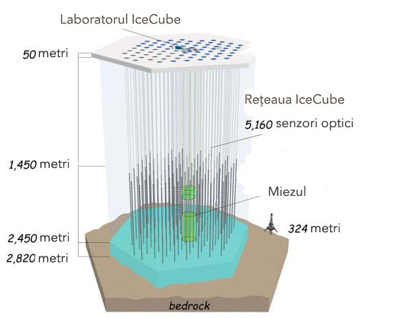 Laboratorul IceCube