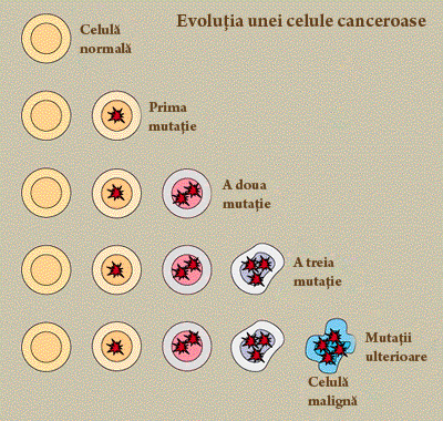 Evoluţia unei celule canceroase