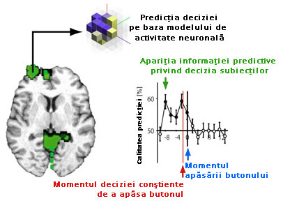 Experiment fMRI Experiment fMRI