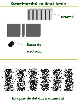 Experiment două fante